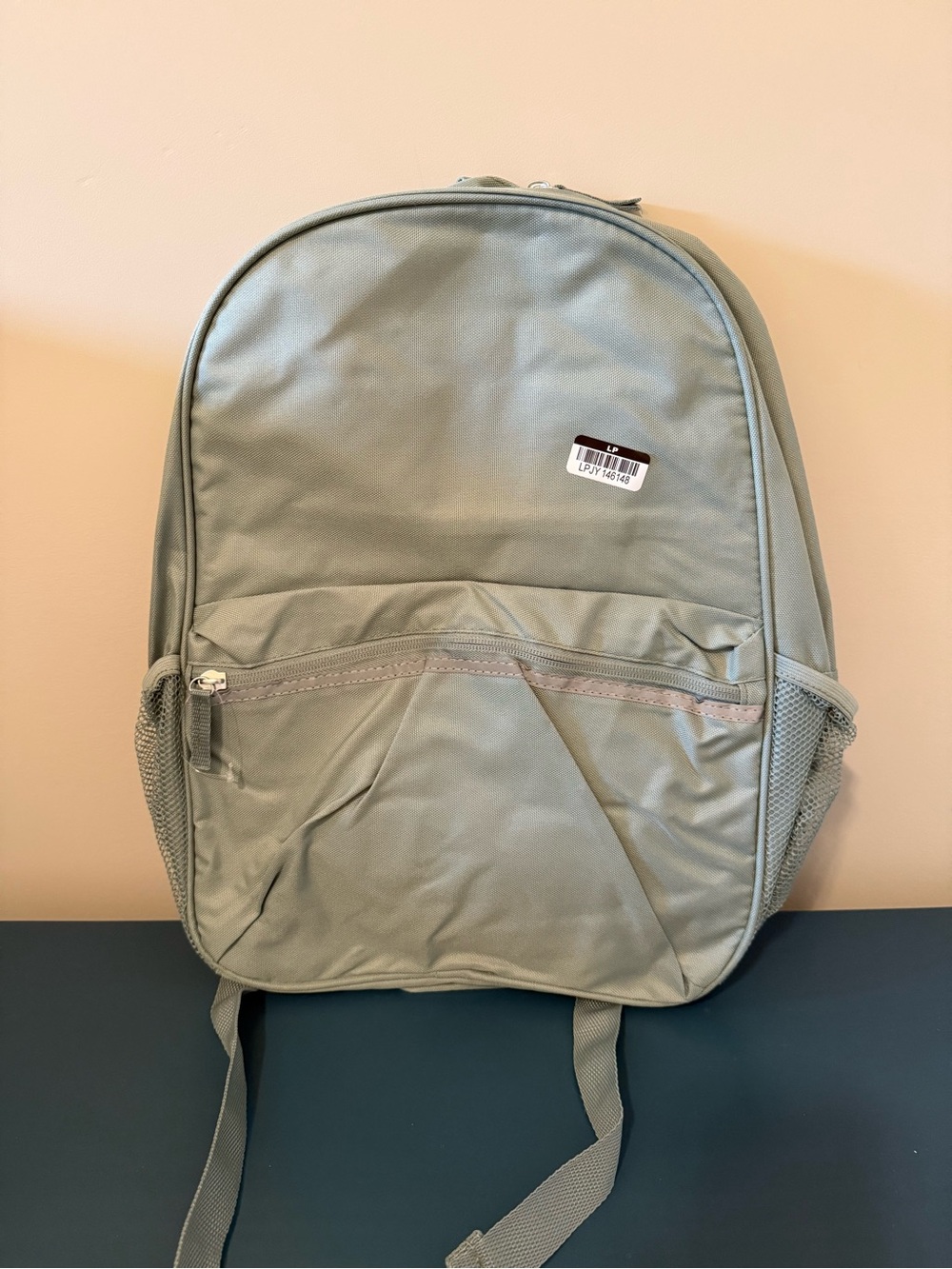 Classic Men's Backpack in Sage Green